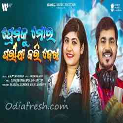 Premaku Mora Parikhya Kari Dekha